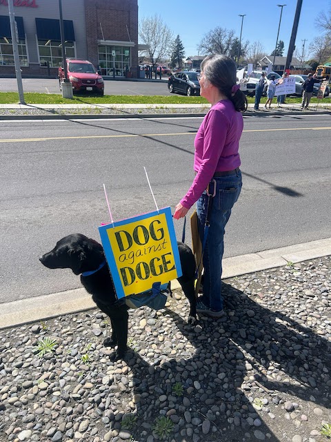 0017 - Dog against DOGE A dog attending the Hands Off! rally in Clarkston, Washington on April 5, 2025.